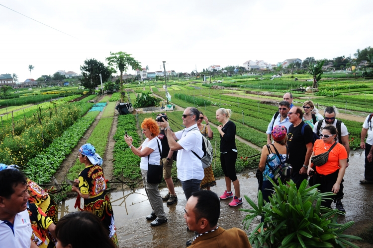 hoi an don doan khach xong dat nam moi