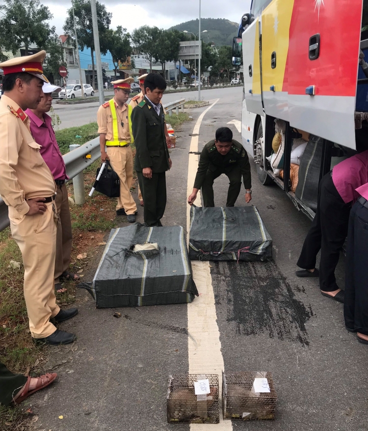 da nang phat hien 70 ca the dui tren xe khach duong dai