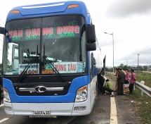 Đà Nẵng: Phát hiện 70 cá thể Dúi trên xe khách đường dài