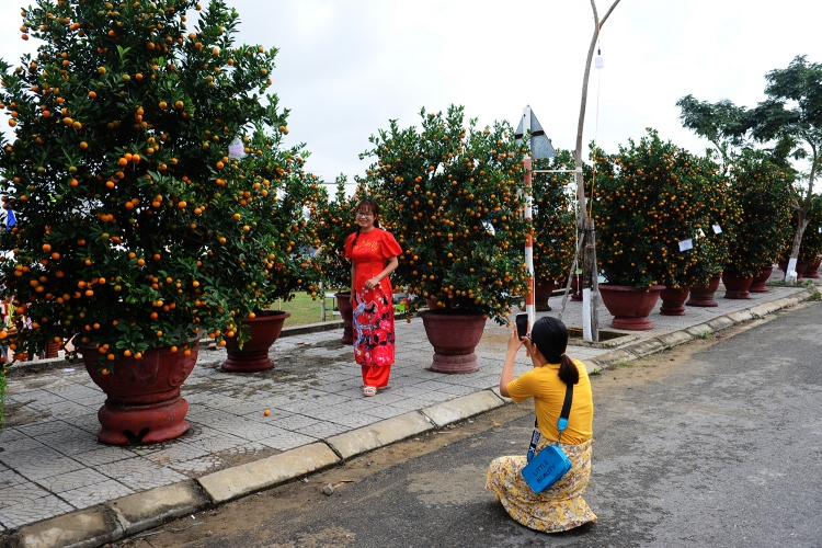 hoi an 70 chau quat canh dep nhat cam ha tham gia ban dau gia