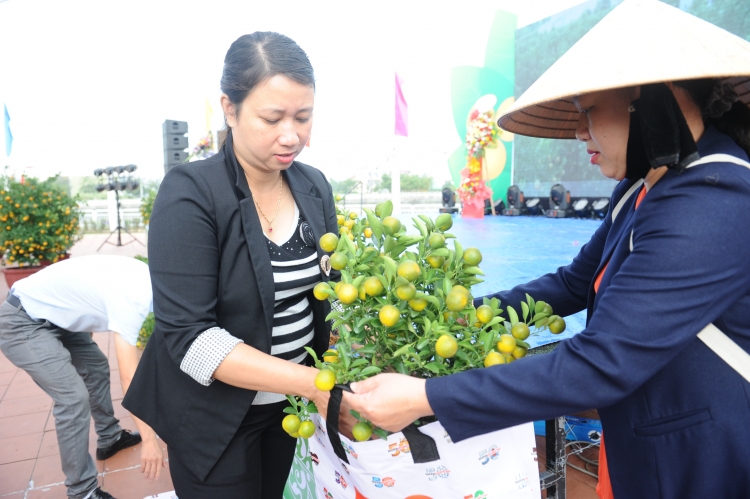 hoi an 70 chau quat canh dep nhat cam ha tham gia ban dau gia