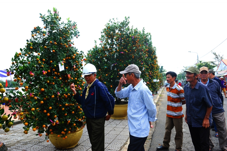 hoi an 70 chau quat canh dep nhat cam ha tham gia ban dau gia