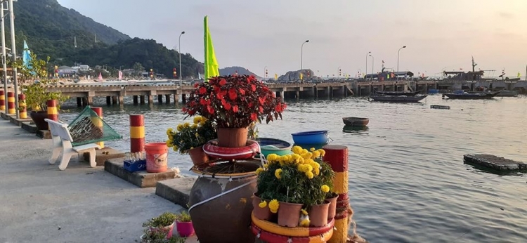Đảo Cù Lao Chàm rộn ràng vào Xuân