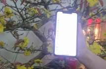 Đà Nẵng: Taxi Tiên Sa trả lại chiếc Iphone X cho khách hàng bỏ quên