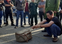 Bắt nóng 3 đối tượng vận chuyển 14 bánh heroin trên địa bàn Thừa Thiên Huế