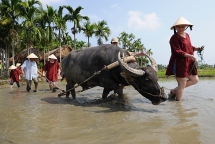 khach du lich toi hoi an giam khoang 20 do anh huong dich corona