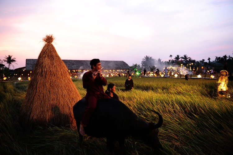 bua tiec ngan do doc dao tren canh dong lua o hoi an