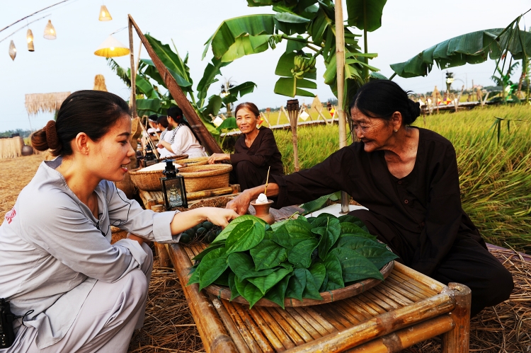 bua tiec ngan do doc dao tren canh dong lua o hoi an