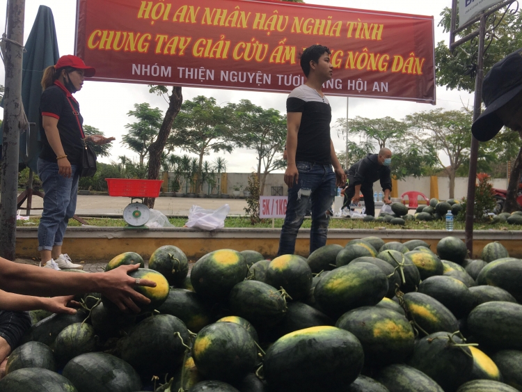 Giải cứu 35 tấn dưa hấu cho nông dân các tỉnh Tây Nguyên