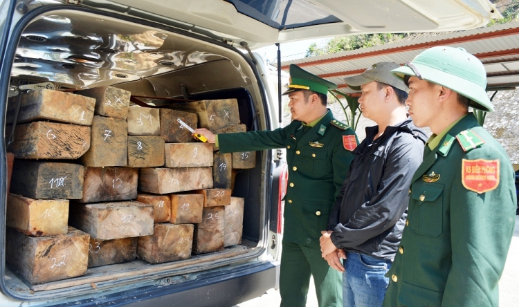 Huế: Phát hiện hàng chục phách gỗ vô chủ