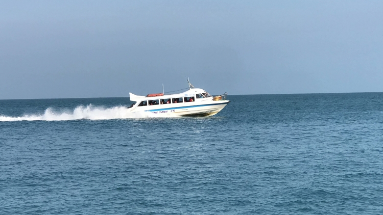 Bất chấp lệnh tạm dừng, ca nô cao tốc vẫn vận chuyển khách ra đảo Cù Lao Chàm