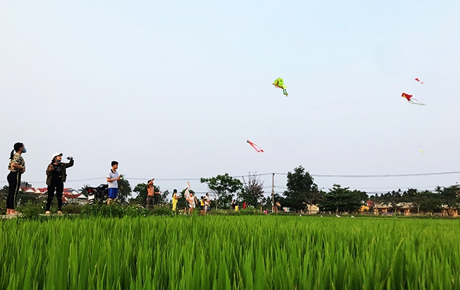 nghi hoc dai ngay dam tre chon canh dong lua tha dieu