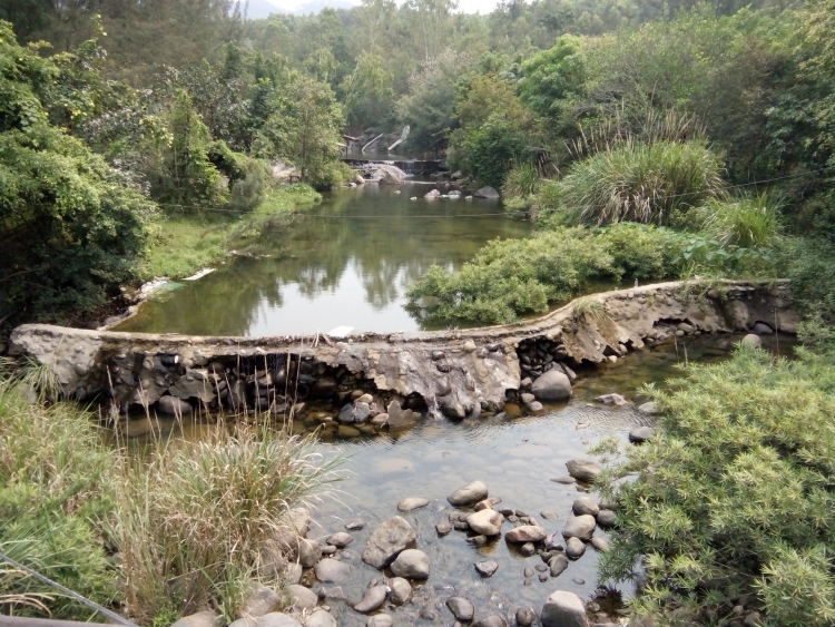 Đà Nẵng: Nhà máy nước liên tục thiếu hụt nguồn nước do bị chặn dòng