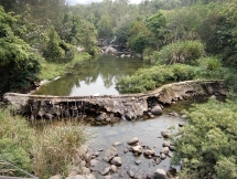 da nang nha may nuoc lien tuc thieu hut nguon nuoc do bi chan dong