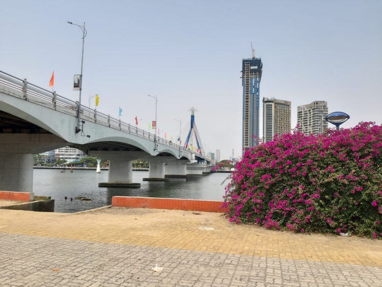 duong pho da nang khoe sac hoa giua mua dich tram lang