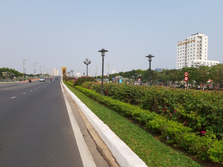 duong pho da nang khoe sac hoa giua mua dich tram lang