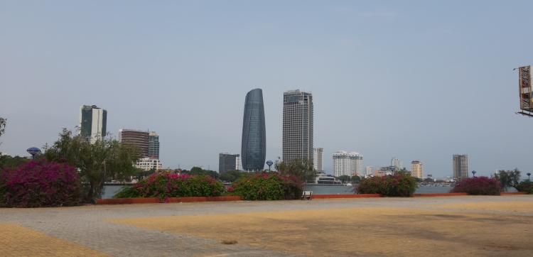 duong pho da nang khoe sac hoa giua mua dich tram lang