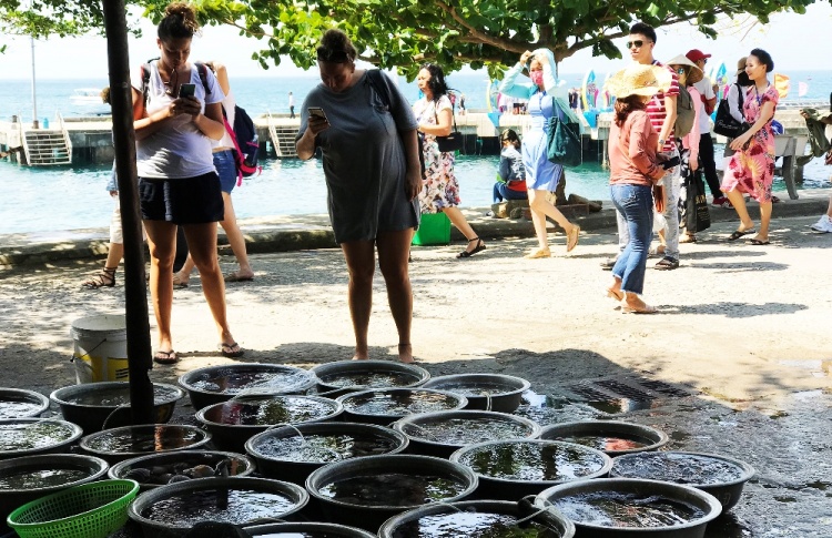 hoi an gan 7000 luot du khach den cu lao cham trong 3 ngay nghi le