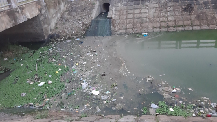 Đà Nẵng: Cá chết do nước thải chưa qua xử lý xả thẳng ra kênh