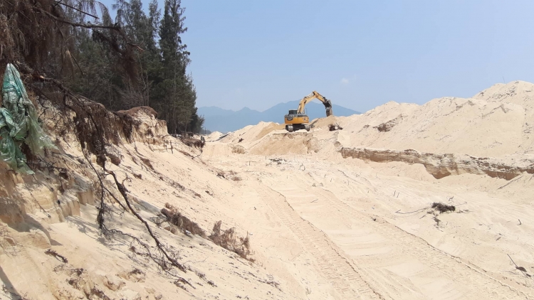 Đà Nẵng: Chặt hạ 3 hecta rừng phòng hộ để thi công bờ kè