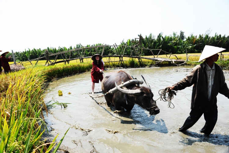 quang nam nong dan hat nhan phat trien du lich