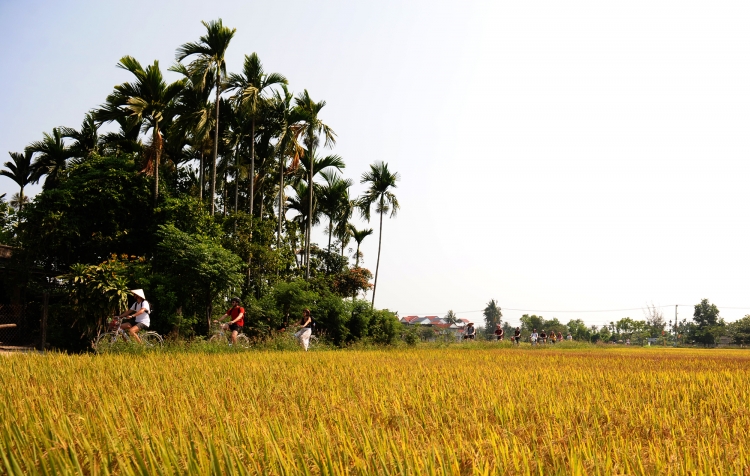 quang nam nong dan hat nhan phat trien du lich