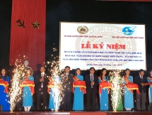 doanh nghiep do phu nu quan ly ngay cang chiem ty le cao