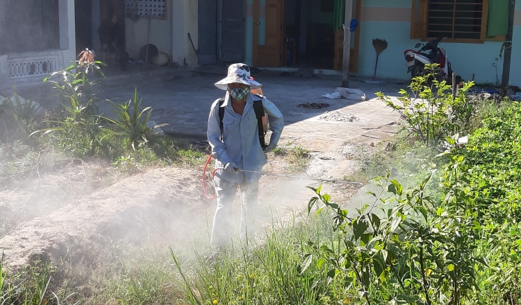 Dịch tả lợn Châu Phi xuất hiện ở Quảng Nam, có  nguy cơ bùng phát mạnh