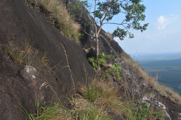Gia Lai: Phát hiện một thi thể đang phân hủy trên vách đá