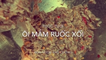 mam ruoc xoi mon an dan da khong the thieu cua nguoi quang nam