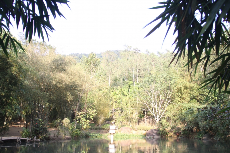 da nang can canh khu bao ton tre truc quy hiem o nui son tra