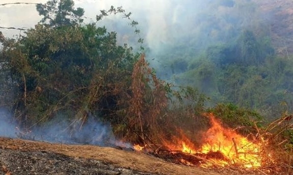 Quảng Nam: Lửa thiêu rụi hơn 10 héc ta rừng phòng hộ