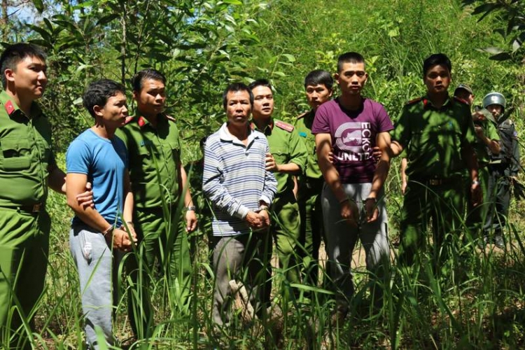 nong tinh trang buc tu rung thong o tay nguyen