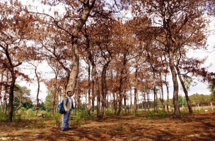 nong tinh trang buc tu rung thong o tay nguyen