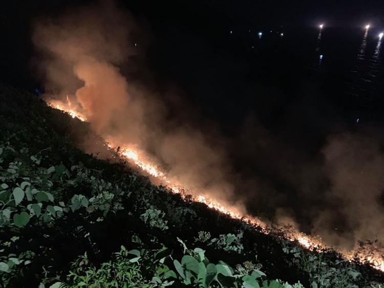 da nang rung son tra dang co chay lon