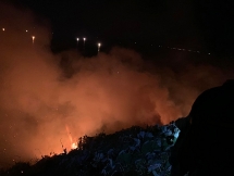 da nang rung son tra dang co chay lon