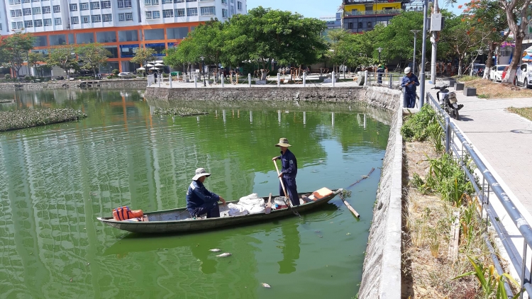 da nang ca ro phi chet noi lenh benh o ho thac gian nguoi dan buc xuc