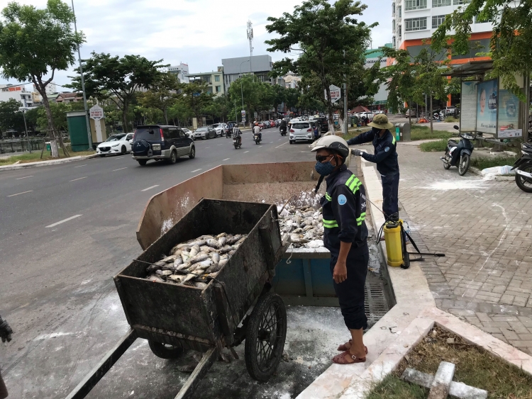 hon 5 tan ca chet trang tai 2 ho dieu hoa giua long da nang