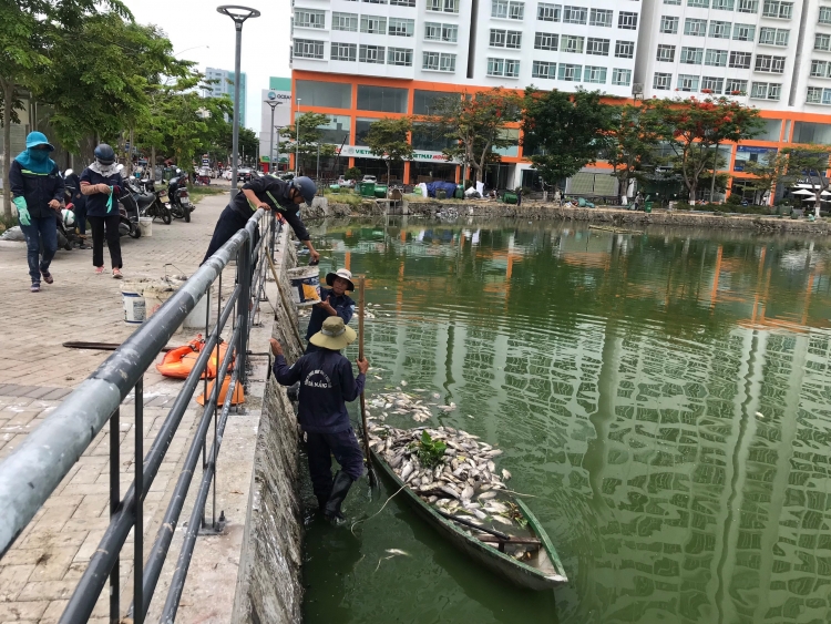 vu ca chet o ho thac gian so tai nguyen va moi truong da nang noi gi