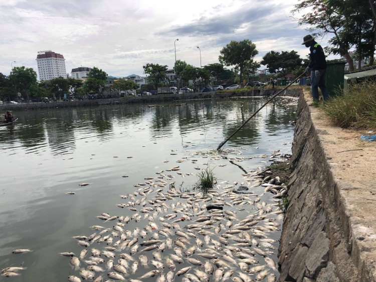 vu ca chet o ho thac gian so tai nguyen va moi truong da nang noi gi