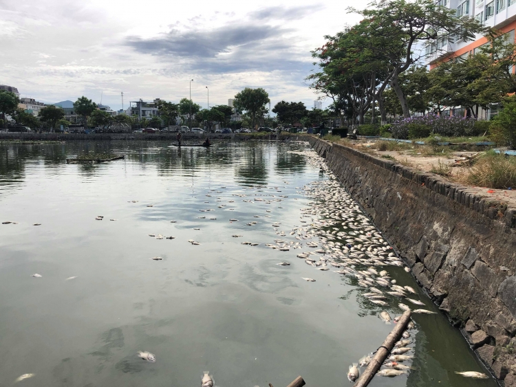 vu ca chet o ho thac gian so tai nguyen va moi truong da nang noi gi