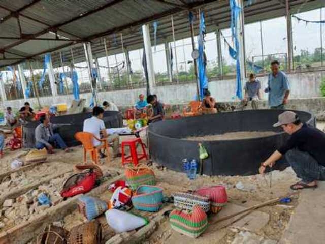 Quảng Nam: Triệt xóa tụ điểm đánh bạc bằng hình thức đá gà quang nam triet xoa tu diem danh bac bang hinh thuc da ga