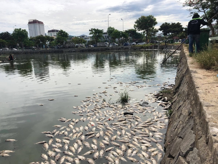 hon 5 tan ca chet trang tai 2 ho dieu hoa giua long da nang