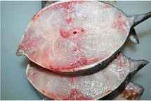 Đà Nẵng: Xác minh thông tin có sán trong suất bún cá của công nhân