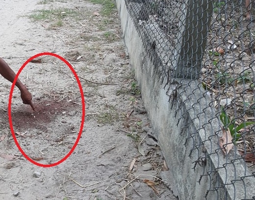 quang nam khoi to vu truy sat 3 cha con o tam ky