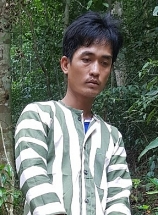 Gia Lai: Khởi tố, bắt tạm giam đối tượng chặt phá rừng lấy gỗ