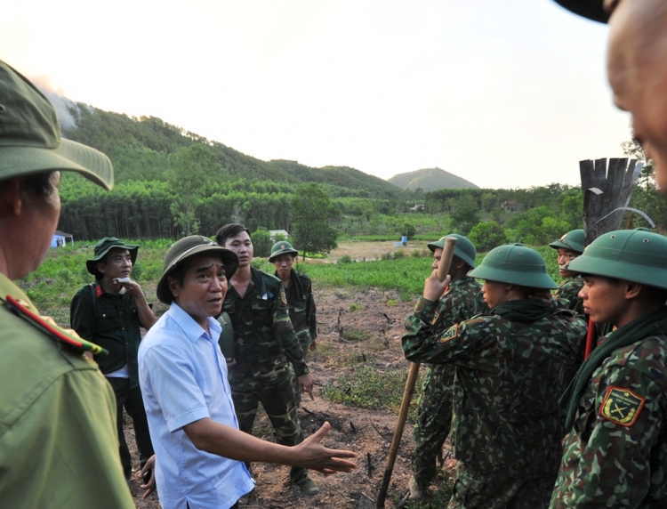 thua thien hue vat lon voi giac lua tan cong rung thong