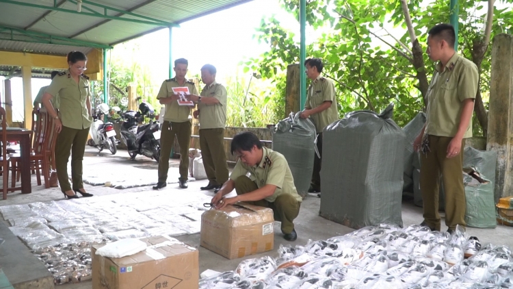 quang nam phat hien xe khach hoang long cho luong lon hang hoa nghi nhap lau