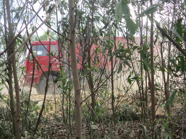 Bình Định: Doanh nghiệp ngang nhiên khai thác đất sét trái phép, qua mặt cơ quan chức năng