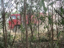 Bình Định: Doanh nghiệp ngang nhiên khai thác đất sét trái phép, qua mặt cơ quan chức năng